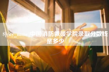 黔南中国消防救援学院录取分数线是多少