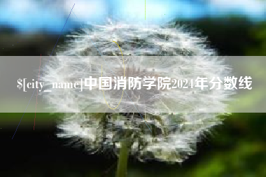 黔南中国消防学院2024年分数线