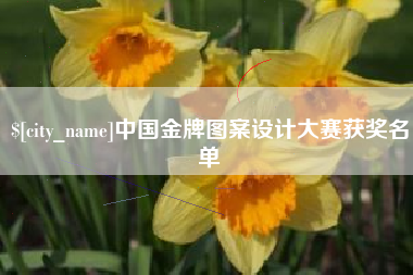 黔南中国金牌图案设计大赛获奖名单
