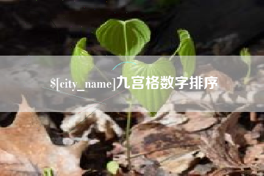 黔南九宫格数字排序