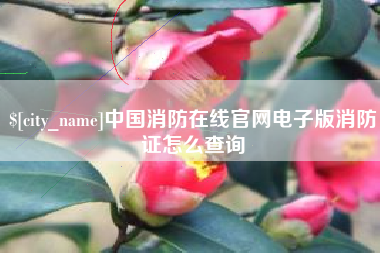 黔南中国消防在线官网电子版消防证怎么查询