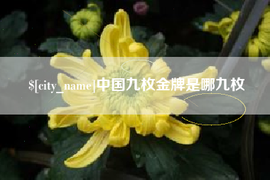 黔南中国九枚金牌是哪九枚