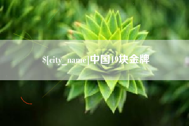 黔南中国19块金牌