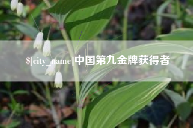 黔南中国第九金牌获得者