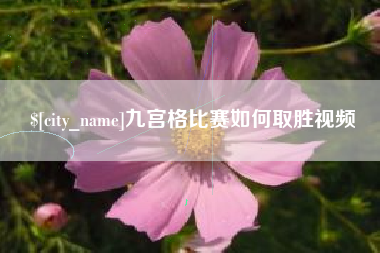 黔南九宫格比赛如何取胜视频