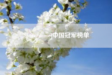 黔南中国冠军榜单