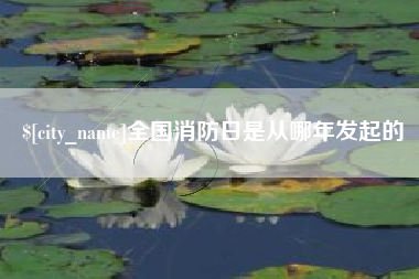黔南全国消防日是从哪年发起的