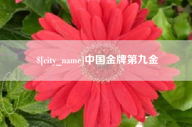 黔南中国金牌第九金