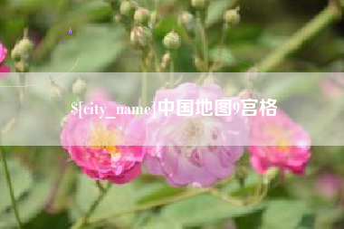 黔南中国地图9宫格