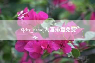 黔南九宫排盘免费