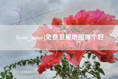 黔南免费卫星地图哪个好