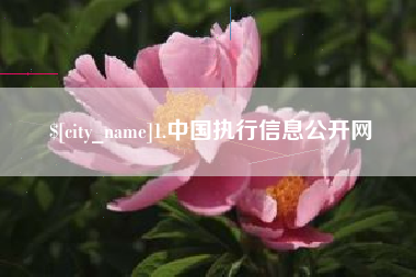 黔南1.中国执行信息公开网