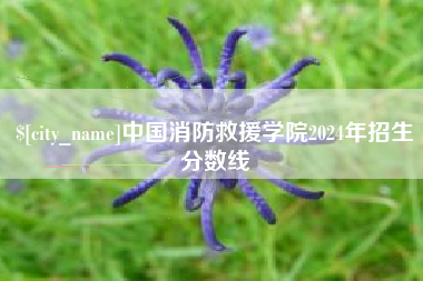 黔南中国消防救援学院2024年招生分数线