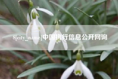 黔南中国执行信息公开网询