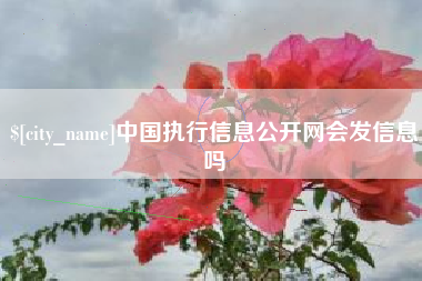 黔南中国执行信息公开网会发信息吗