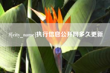 黔南执行信息公开网多久更新