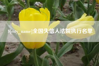 黔南全国失信人法院执行名单