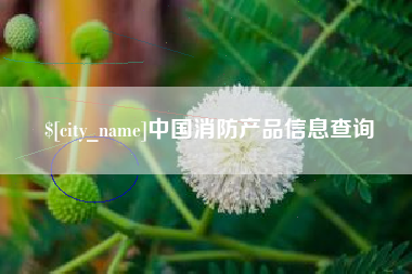 黔南中国消防产品信息查询