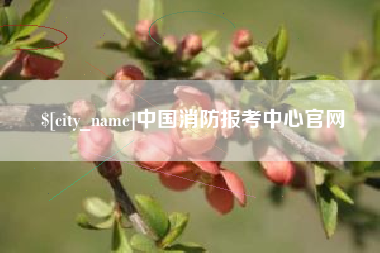 黔南中国消防报考中心官网