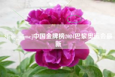 黔南中国金牌榜2024巴黎奥运会最新