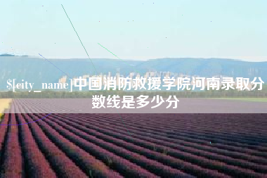 黔南中国消防救援学院河南录取分数线是多少分