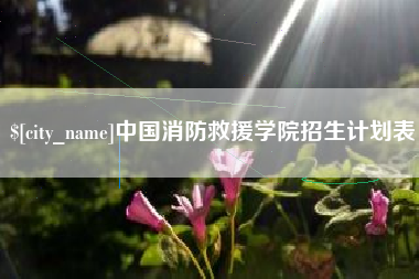 黔南中国消防救援学院招生计划表