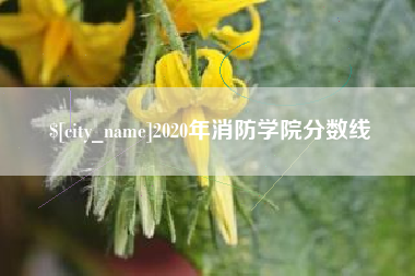 黔南2020年消防学院分数线