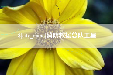 黔南消防救援总队王星