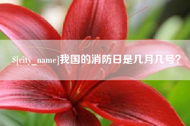 黔南我国的消防日是几月几号？