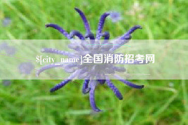 黔南全国消防招考网