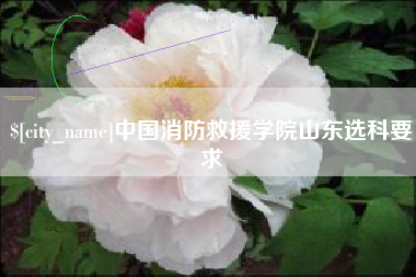 黔南中国消防救援学院山东选科要求