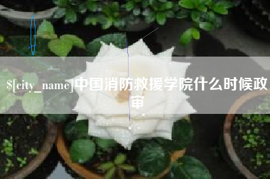 黔南中国消防救援学院什么时候政审
