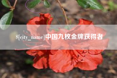 黔南中国九枚金牌获得者
