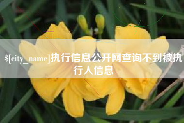黔南执行信息公开网查询不到被执行人信息