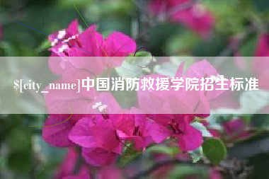 黔南中国消防救援学院招生标准