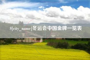 黔南冬运会中国金牌一览表