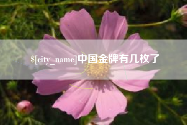 黔南中国金牌有几枚了