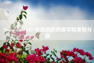 黔南2021中国消防救援学院录取分数