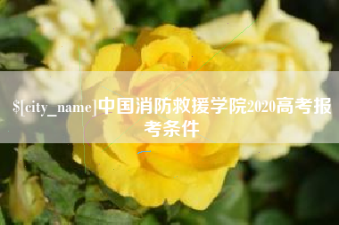 黔南中国消防救援学院2020高考报考条件