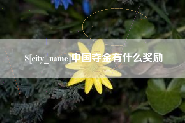 黔南中国夺金有什么奖励