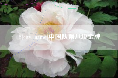 黔南中国队第八块金牌