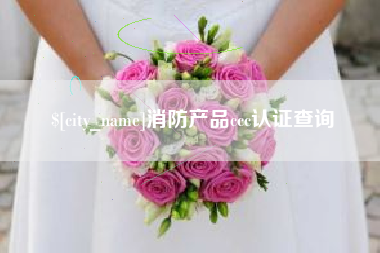 黔南消防产品ccc认证查询