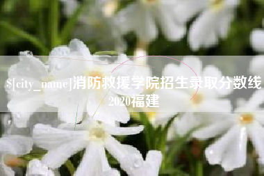 黔南消防救援学院招生录取分数线2020福建