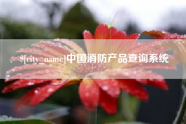 黔南中国消防产品查询系统
