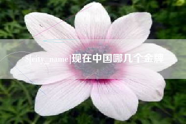 黔南现在中国哪几个金牌