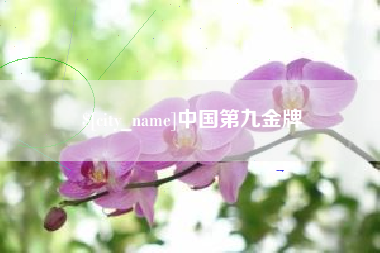 黔南中国第九金牌