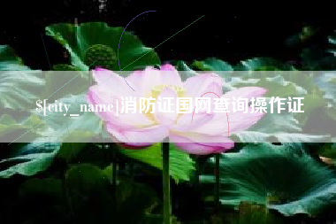 黔南消防证国网查询操作证