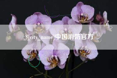 黔南中国消防官方