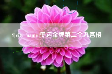 黔南奥运金牌第二个九宫格