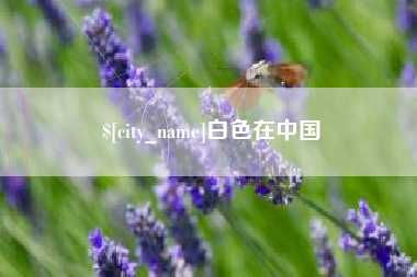 黔南白色在中国